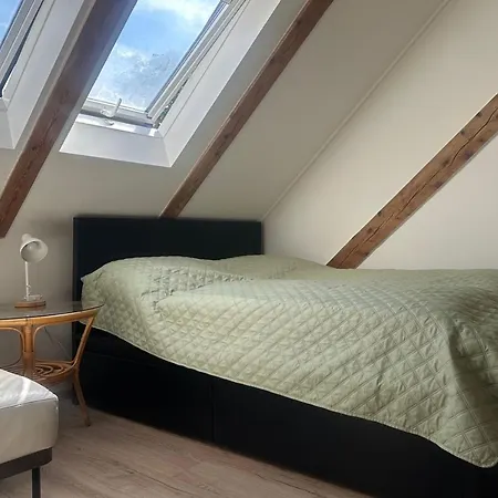 Artharmony & بيت شباب *