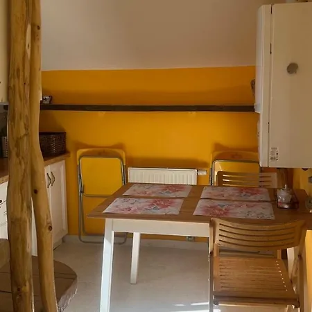 Artharmony & بيت شباب براغ