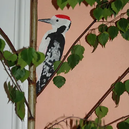 호스텔 Artharmony &